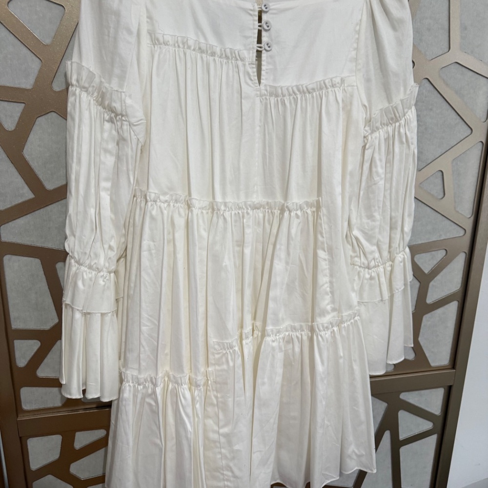 AJE Ruffle Mini Dress - Picture 10 of 13